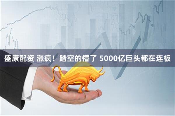 盛康配资 涨疯！踏空的懵了 5000亿巨头都在连板