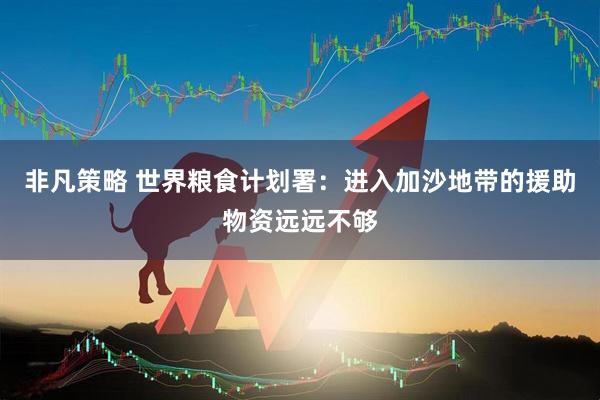非凡策略 世界粮食计划署：进入加沙地带的援助物资远远不够