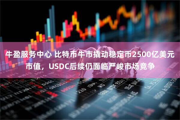 牛盈服务中心 比特币牛市撬动稳定币2500亿美元市值，USDC后续仍面临严峻市场竞争
