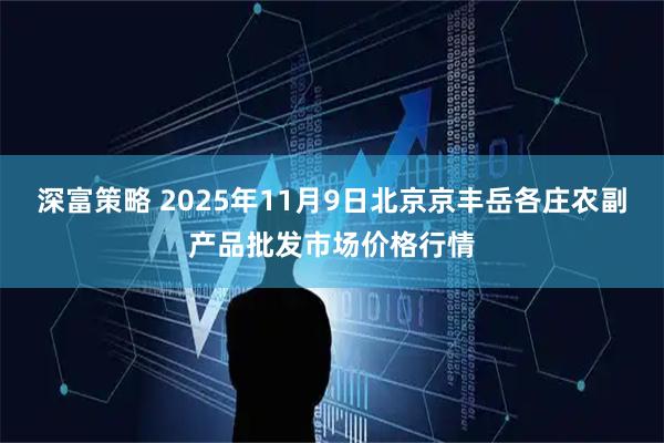 深富策略 2025年11月9日北京京丰岳各庄农副产品批发市场价格行情