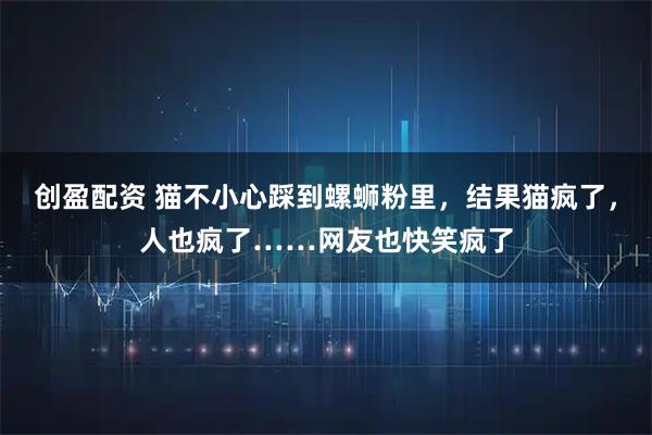 创盈配资 猫不小心踩到螺蛳粉里,结果猫疯了,人也疯了……网友也快笑疯了
