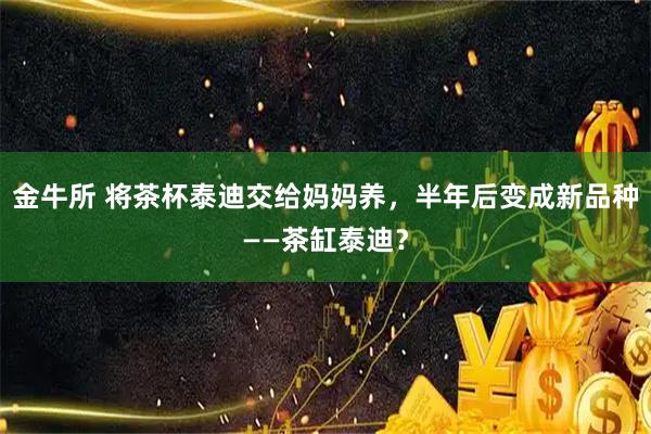 金牛所 将茶杯泰迪交给妈妈养,半年后变成新品种——茶缸泰迪?