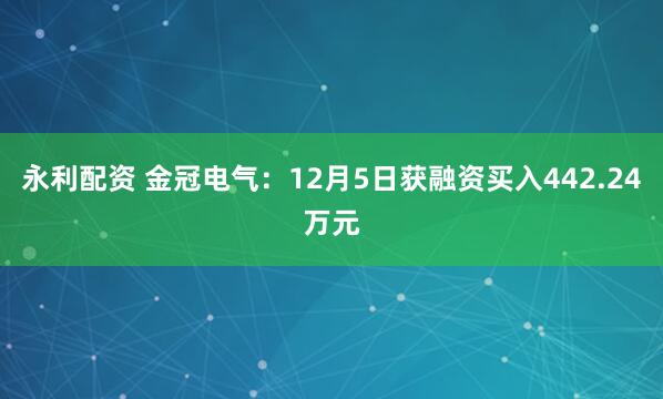 永利配资 金冠电气:12月5日获融资买入442.24万元