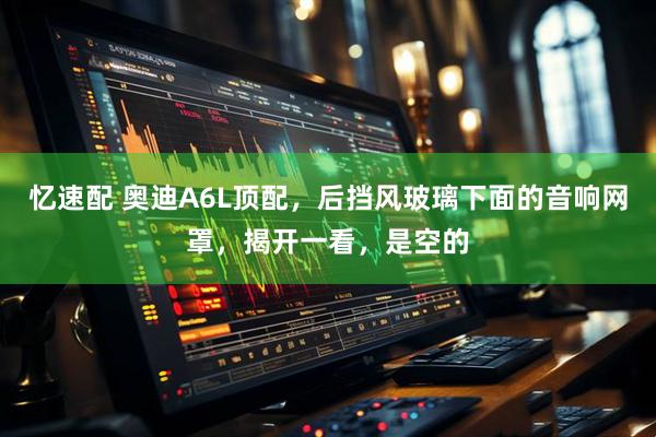 忆速配 奥迪A6L顶配，后挡风玻璃下面的音响网罩，揭开一看，是空的