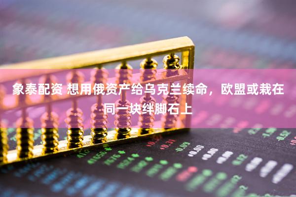 象泰配资 想用俄资产给乌克兰续命，欧盟或栽在同一块绊脚石上