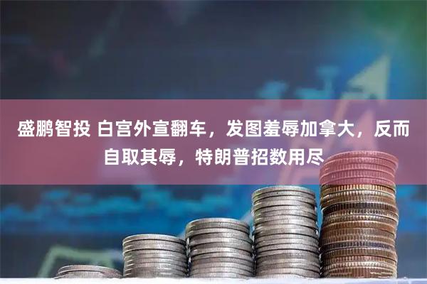 盛鹏智投 白宫外宣翻车,发图羞辱加拿大,反而自取其辱,特朗普招数用尽